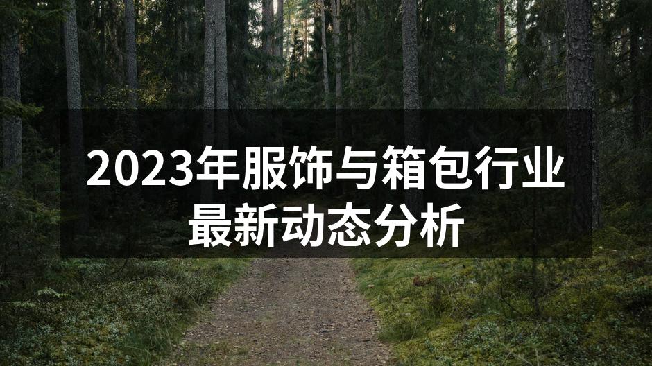 2023年服饰与箱包行业最新动态分析