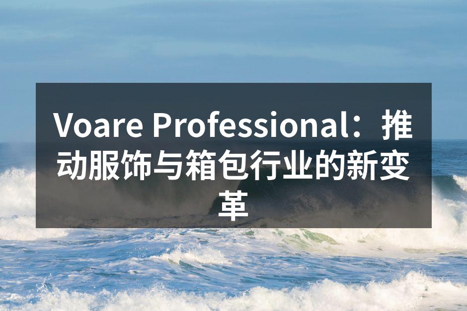 Voare Professional：推